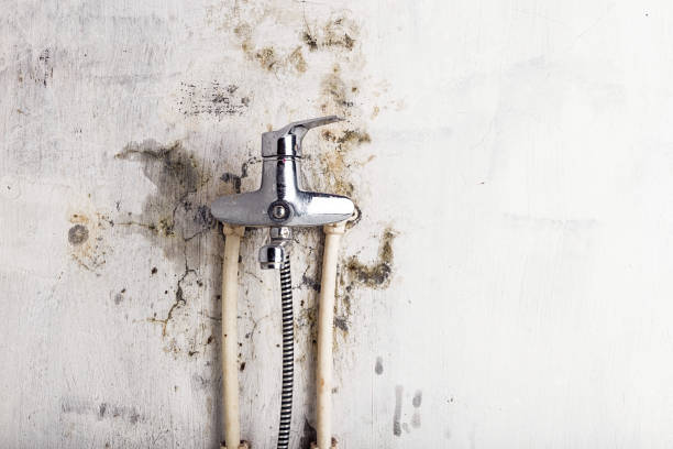 Best Mold Testing  in Lathrup Village, MI