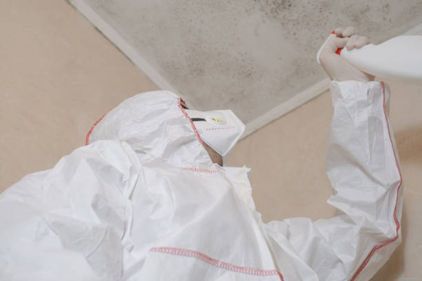 Best Mold Testing  in Lathrup Village, MI