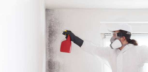 Best Commercial Mold Removal  in Lathrup Village, MI