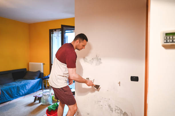 Best Mold Cleaning Services  in Lathrup Village, MI